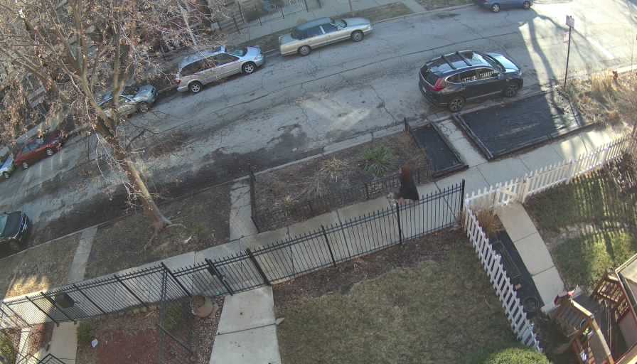 Reolink Camera One_00_Reolink Home Hub One_20260312091436.jpg